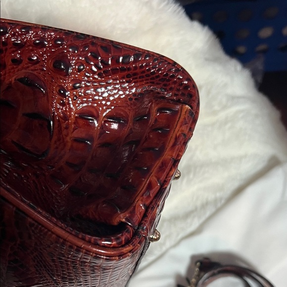 Brahmin Elisa in pecan Melbourne EUC - Picture 6 of 11